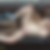 Preggo Teens First Bbc Interracial Sex XXX thumb