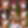 [Katya-Clover.com] - Katya-Clover - Never Look - 2022.02.15. - IMAGESET thumb