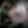 [PrivateSociety.com] He met her at the Trump rally [2020-02-03, hardcore, chubby, natural tits, blowjob, creampie, fat, 720p] thumb
