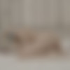 [Anilos.com] Kitti Li - Masterpiece [2023.12.15, Solo, MILF, Big Tits, Masturbation, 2160p] thumb