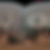 [VRHush.com] Jade Kimiko - The Rent Is Too Damn Good [21.02.2024, Asian, Blowjob, Cowgirl, Cumshot, Hardcore, Natural Tits, Petite, POV, Shaved, Small Tits, Standing Missionary, Virtual Reality, SideBySide, 8K, 3840p, SiteRip] [Oculus Rift / Quest 2 / Vive] thumb