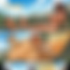 Island Grown 3 - Collectors Edition [ZZZ Comics] thumb