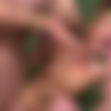 Magma Extrem - Mega-harter Gang Bang thumb