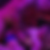 [DorcelClub.com] Lilly Bell ( Fantasy n°1: Not a word )[2023 ., Feature,All Sex, Hardcore, Couples , Straight, 2160p] thumb