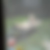 Horny GF [2018 ., Blowjob,Solo, Masturbation, CamRip] thumb