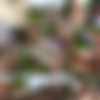 Lilian Black and Emily Devine mature babes sucking cum Grandmams.com 1080p.mp4 thumb
