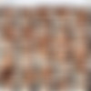 Brutal-Facesitting.com 2006-2020 Full Siterip! thumbnail