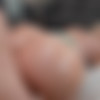 [BangBros.com/AssParade.com] (52 ) [2021] [Anal, Big Ass, DP, Dildo, Ebony, Interracial, Latina, Lesbian, MILF, Masturbation, Solo, Straight, 1080p] thumb