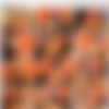 Fresh New Faces 1 [DVD9] (Platinum X Pictures, 2003) thumb
