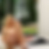 [NetVideoGirls.com / NVG Network] Sherrie [2023-05-02, Gonzo, Hardcore, All Sex, 1080p] thumb