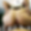 [ModelTime.com / AdultTime.com] Macy Cartel (What Really Happens on a Cooking Show!) [13.06.2020, Blonde, Big Tits, MILF, Blowjob, Cum, Swallow, POV, Big Ass, 1080p] thumbnail