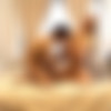 [NiksIndian.com] Samantha Jones (Big Boobs Blonde Fucks Indian Guy And Squirts 4 Times) [2020-07-22, Anal, Cumshot, Amateur, BJ, Oral, Blowjob, Couple, Big Boobs, Blonde, Indian, POV, MILF, Ass Licking, Pussy Licking, 720p] thumb