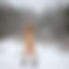 [Nude-in-russia.com] 2024-01-19 Milana - New Girl - Snowfall [Exhibitionism, Posing, Solo, Teen] [2700*1800, 83 ] thumb