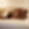 [Onlyfans.com] Datbootytho55 - Hubby Shares His Hotwife With BBC [2023-11-30, Amateur, BBC, Big Cock, Cuckold, Cumshot, Interracial, Threesome (MMF), 1080p, SiteRip] thumb