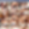 [brazilian.transsexuals.com] [braziltgirls.xxx] Siterip October 2021 [720p] thumb