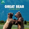 Great Bear Stakeout S01E01 1080p WEBRip x264-CBFM thumb