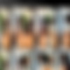 Gabrielle F Maya onlyfans pack thumb