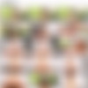 [NetGirl.com / NVG Network] Sofi (Omg The Latest NG) [2023] 1080p thumb