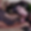 [TeamSkeetXMickeyMod.com / TeamSkeet.com] Proxy Paige - Rocker Chicks Loves Anal [2020.03.17, All Sex, Anal Sex, Bare Foot, Blow Job, Cowgirl, Cum on Ass, Doggystyle, IR, Indoor, Missionary, Tattoo, Teen, 1080p] thumb