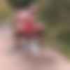 SneakyPee.com SiteRip thumbnail