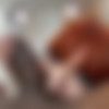 [OnlyFans.com/DreddXXX] Lauren Phillips ( Lauren Phillips & Dredd Ac 1-7) [2020 ., Gonzo Hardcore Anal IR, 1080p] thumb