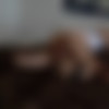 [TeamSkeetClassics.com / TeamSkeet.com] Abella Danger - Wake Up Call (21.08.21) [2021 ., Blowjob, Brunette, Cowgirl, Cum In Mouth, Doggystyle, Hardcore, Missionary, Natural Tits, Reverse Cowgirl, Shaved Pussy, Small Tits, Step Brother, Step Sister, Teen, Toned, White, Wild, 1080p] thumb