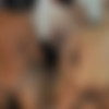 [puzzyfun.com] Josie Buster and July Buster (Yes the two fabulous Austrian Porngirls to cum filling at PuzzyFun) [2023-05-11, low Job, Gangbang, Older Man Younger Woman] [720p] thumb