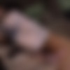 Abeno Miku, Ichinose Suzu, Kagami Shuna, Takatsuki Runa - Port That Plaster The Aphrodisiac To A Small Girl. [NHDTA-562] (Sakurai Banira, Natural High) [cen] [2014 ., Girl, Planning, Deep Throating, Drug, HDRip] [1080p] thumb