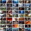 The Tree of Life 2011 Criterion Collection BluRay 1080p DTS-HD MA 5 1 AVC REMUX-FraMeSToR thumb