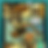 SexyFur Siterip thumbnail