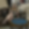 [Meanbitches.com / MeanWorld.com]Siri - New.   (19.02.2020)*HD (MBIT) [2020 ., slave, humilation, femdom, cuckold,big ass, 1080p, SiteRip] thumb