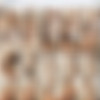 Brutal-Facesitting.com 2006-2020 Full Siterip! thumbnail