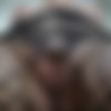 [OnlyFans] Amber HoneyBun @amber_honeybunny - 11/08//22 Full siterip (285 Videos + 517 Photos) thumb