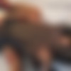 [OnlyFans.com / Janet-Exposed.com] Janet Mason (Big Cock Chronicles, Vol. 11: Starr's Debut) [11.01.2020, Interracial, IR, BBC, MILF, Fake Tits, Redhead, 720p] thumb