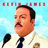 Paul Blart Mall Cop 2009 NORDiC 1080p BluRay REMUX AVC-EGEN thumb