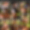 Scoreland.com SiteRip - Part #9 out of 9 thumb