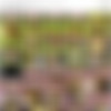 Anna Coprofield x265 Reencode MegaPack (96 clips) thumb