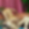 [Mature.nl] Lambada (42) - Skinny Mature Lambada gets her unshaved pussy pounded by a big hard cock [2023-12-22, Blowjob, Cumshot, Doggystyle, Hairy, Hardcore, MILF, Mature, All Sex, Small Tits, 1080p, SiteRip] thumb