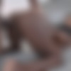 [FilthyFamily.com / BangBros.com] Naomi Foxxx & Eden West - Threesome with Step Daughter (xf19306) [2023-04-17, all sex, blowjob, brunette, hardcore, cumshot, threesome, black, shaved, deep throat, ebony, cowgirl, busty, doggystyle, 1080p] thumb