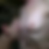 [PrivateSociety.com] Jessica (Fucking dudes half her age / 13.04.2021) [Amateur, Blowjob, Facial, Doggystyle, Riding, Mature, Pussy licking, Hardcore, 720p, HDRip] thumb