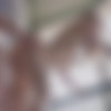 [WowGirls.com] Nancy A - Really Wants To Get Laid [2019-10-13, All Sex, Blowjob, Cum in mouth, Fingering, Glamour, Gonzo, Handjob, Hardcore, Medium Tits, Pussy Licking , 2160p, SiteRip] thumb