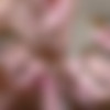 [BFFS.com / TeamSkeet.com] Harlowe West & Dakota Burns & Dani Blu - Spa Day Interrupted [2020.09.08, All Sex, Lesbian, Foursome, FFFM, 720p] thumb